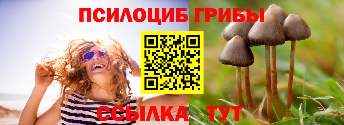 Псилоцибиновые грибы Cubensis  Вход с VPN  Псилоцибиновые грибы Cubensis  Стрежевой 